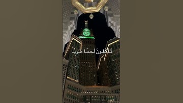 #تلاوات #القرآن #القرآن_الكريم #تلاوات_خاشعة #تلاوة #تلاوة_خاشعة #quran #القارئ #محمد_ايوب #reels
