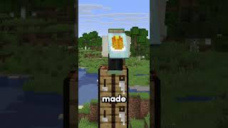 Can You Guess This Minecraft Block? Part 38