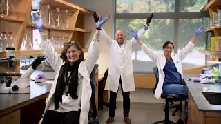 The V Foundation – Focused on Victory Over Cancer®