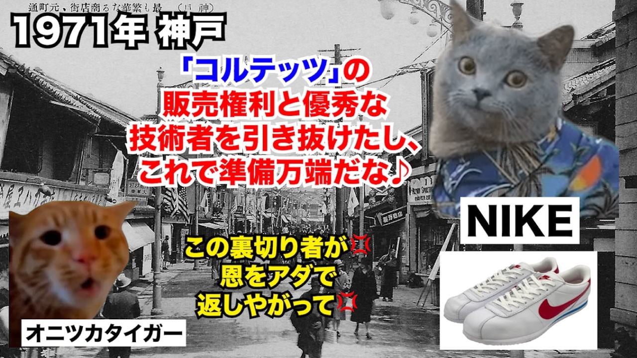 【NIKE ナイキ】わずか4年で前年比86%も業績悪化した世界最大のシューズブランド #猫マニ #猫ミーム