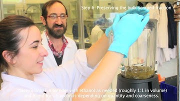 Autonomous Reef Monitoring Structures (ARMS) uninstallation and processing