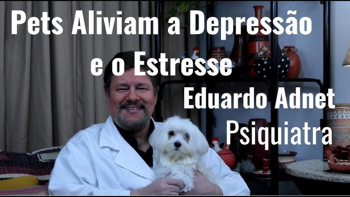 G1 - Assistir a vídeos de gatos na internet pode aliviar ansiedade, diz  estudo - notícias em Ciência e Saúde