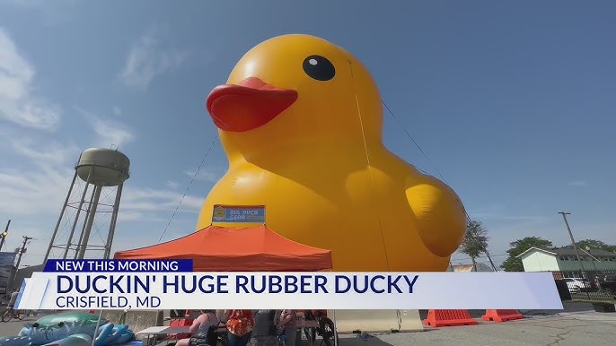 Giant rubber duck returns to Toronto this weekend