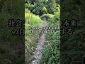 【あなたの必要なメッセージをお届けします。リンクにある公式LINEに『鑑定』と入れて下さいね】 #金運 #金運上昇 #財運 #徳を積む #手放す #開運 #引き寄せの法則 #引き寄せ #運氣 #龍樹