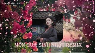 Món Quà Sinh Nhật Remix - Wan T Remix -Nhạc Hot Tiktok 2024
