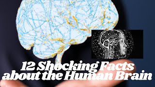 12 Shocking Facts About Human Brain that May Surprise You