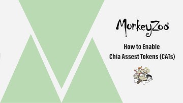 How to Enable Chia Asset Tokens CATs