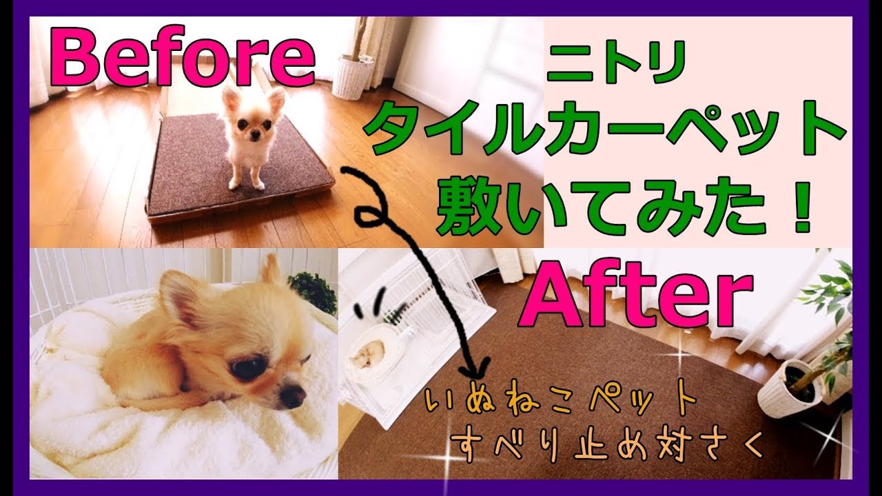 犬猫ペット フローリング滑り止め対策 ニトリタイルカーペットを敷いてみた Dog Cat Pet Flooring Anti Slip Nitori Tile Carpet Youtube