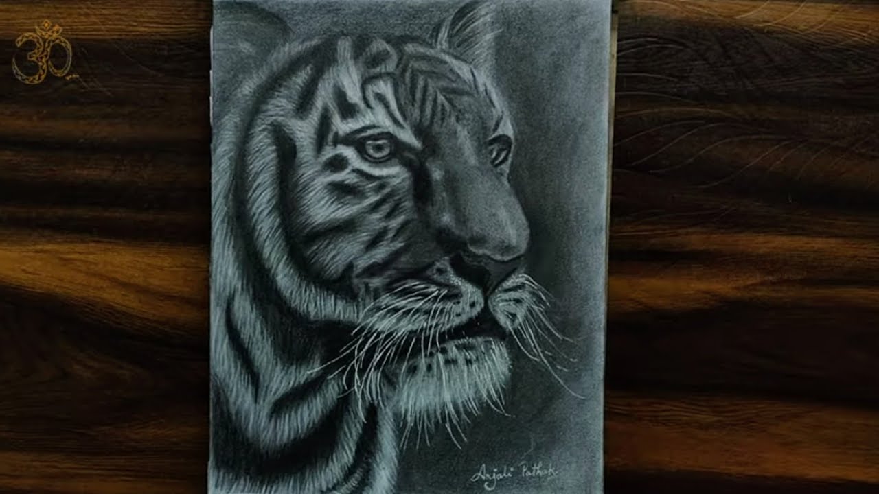 Tiger ki Drawing banaye/ How draw Tiger Sketch YouTube