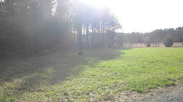 bumper Boy dead w-Annie.MOV