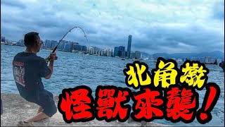 北角橋墩 揸大餌 頂不住的巨大拉力 紀錄魚上水🐡￼￼ #釣點介紹#香港釣魚 #投釣