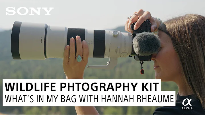 Pro Wildlife Photographer's Go-To Gear | What's In My Bag with Hannah Rheaume