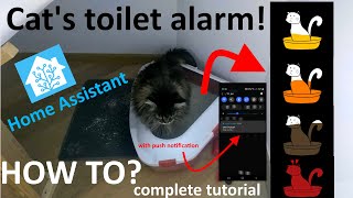 Cat litter (toilet) alarm tutorial for Home Assistant (vibration sensor aqara, hassio, push message) screenshot 5