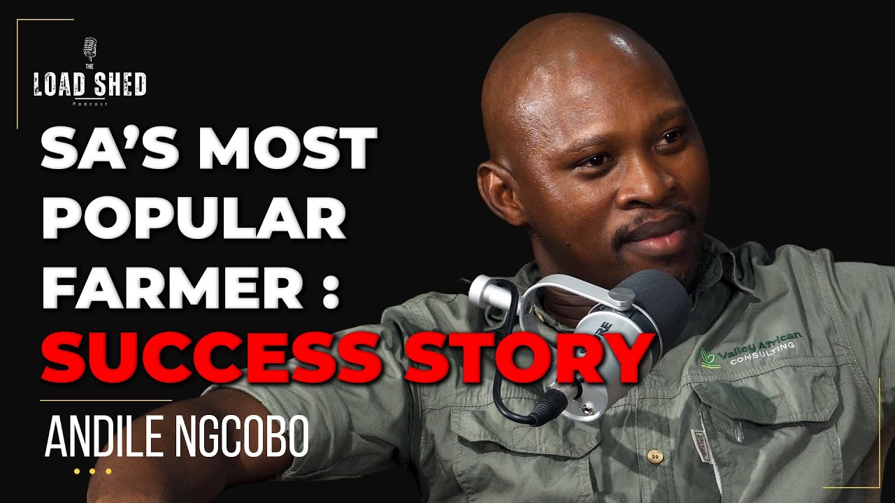 The Rise of Doja Cat: Breaking Down the Pop Sensation's Phenomenal Success