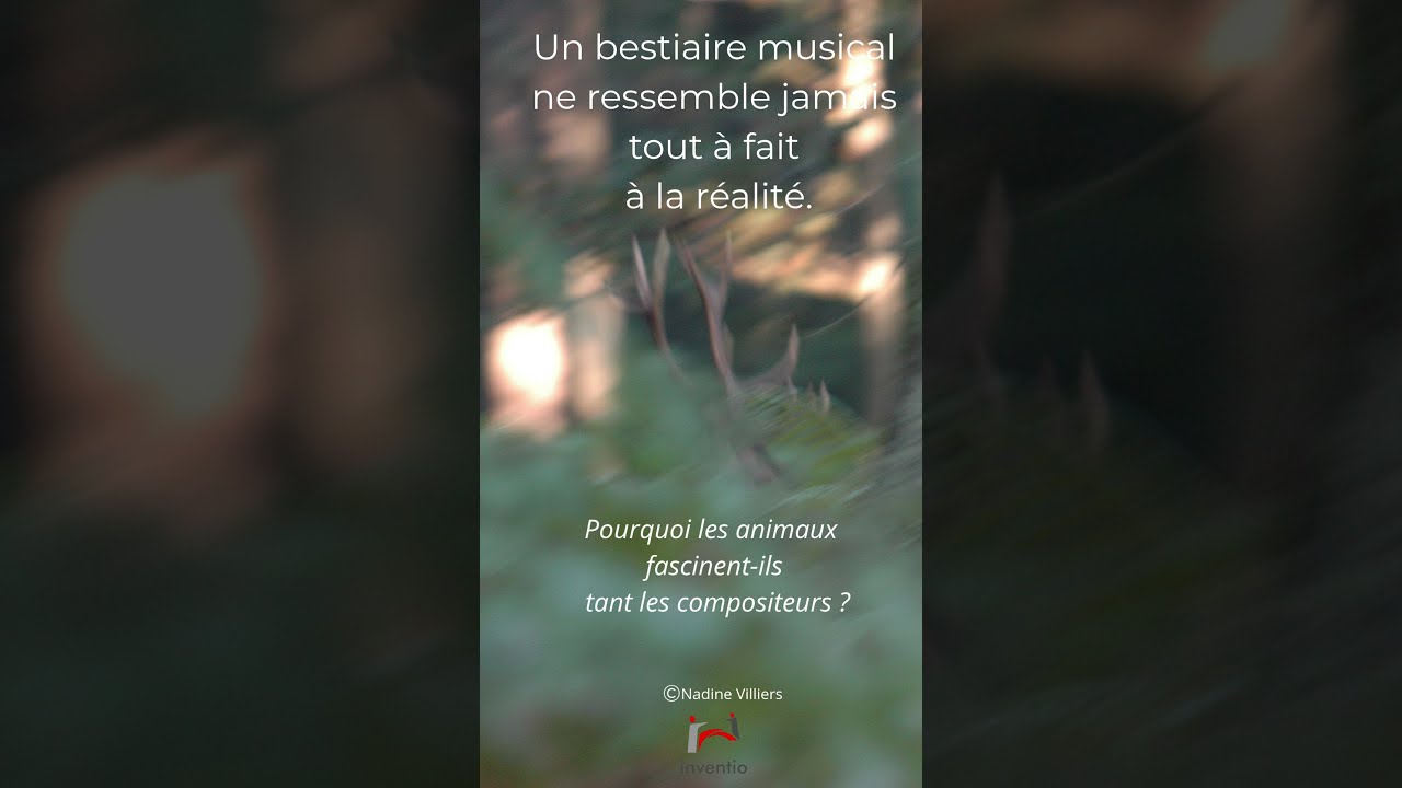 11 septembre Chapelle de Lourps : Concert immersif Léo Marillier violon/Anton Gerzenberg piano