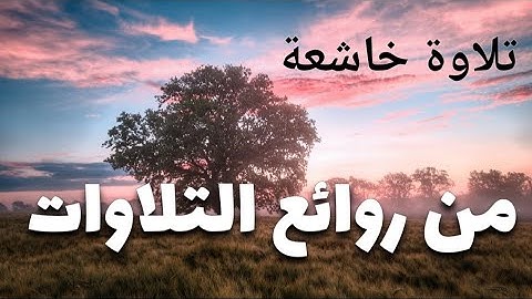 تلاوة خاشعة مؤثرة| آيات عظيمة من سورة النور | صلاة العشاء  رمضان 1446