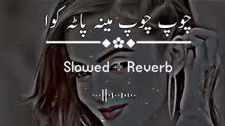 ❤️Chup Chup Meena Pata Kawa 🎧(Slowed+Reverb) 🎬Pashto New Song | Pashto Song 🦅🎶| New Song 2023 Resimi