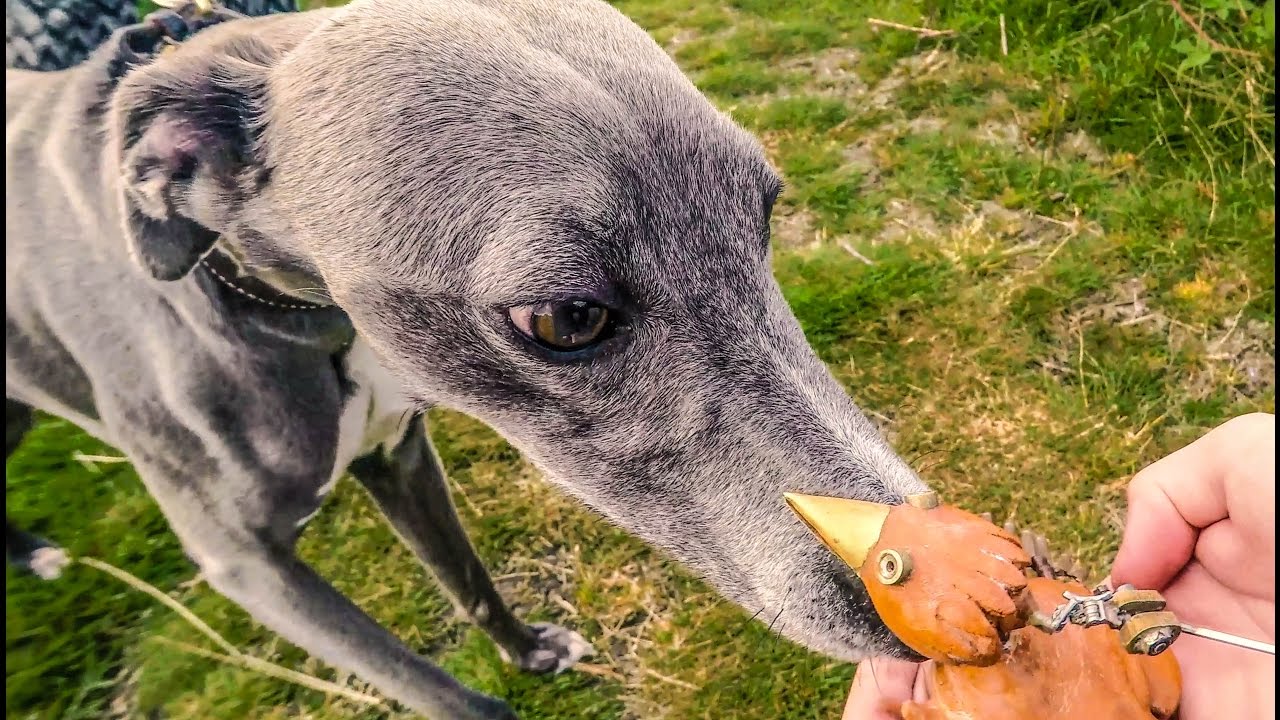 DABCHICK sings a SLAVE SONG
