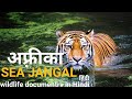 Jangal in the sea     africa wildlife hindi documentry