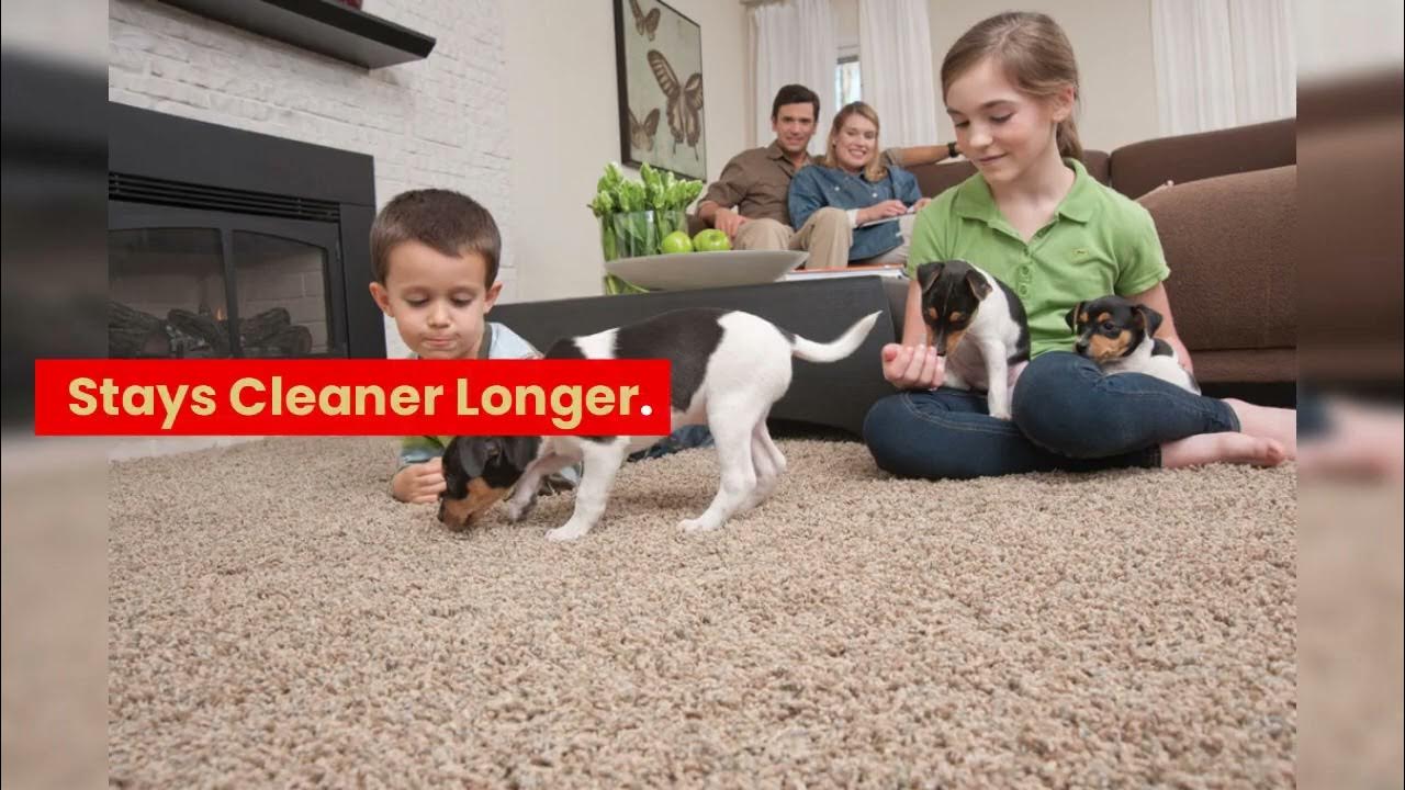Hadley's Advanced Clean carpet cleaners in Fort Wayne IN YouTube