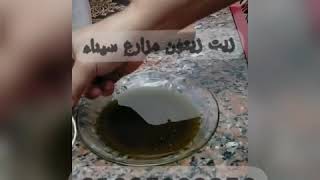 مقارنة من زيت زيتون مزارع سيناء بكر بزيت زيتون أخر