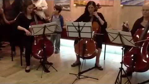 Irish music played by Maya Liberman's cello students