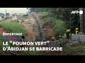 Côte d&#39;Ivoire: le &quot;poumon vert&quot; d&#39;Abidjan se barricade | AFP