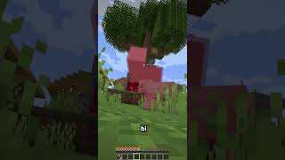 Minecraft'ta Boyumu Kontrol Ediyorsun! #shorts