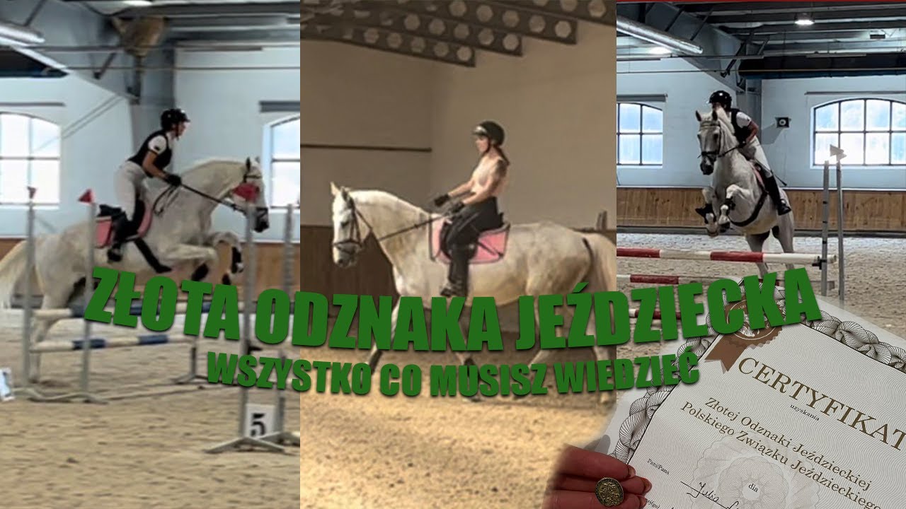 ZŁOTA ODZNAKA JEŹDZIECKA — Wszystko, co musisz wiedzieć