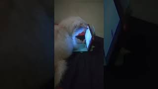 kecanduan gadget #shorts