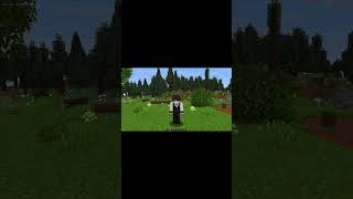 How To Join Soulpet SMP (Application Open)