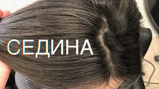 Седина. Техники окрашивания седины. В этом видео вы найдёте ответы на такие вопросы, как 👇