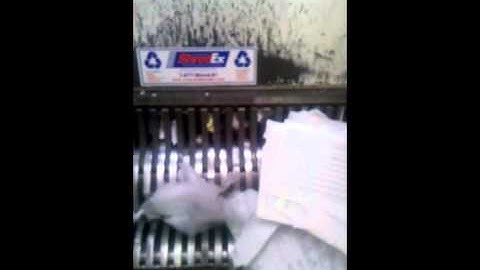 ShredEx Document Shredding 1-877-747-3381 Box and all