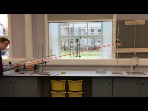 Monkey & Hunter Classroom Demo