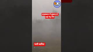 जोरदार बारिश तूफान से सैकड़ों पेड़ गिरे#rajasthan#barish#tufan#heavy_rainfall#floods#cyclone#shorts