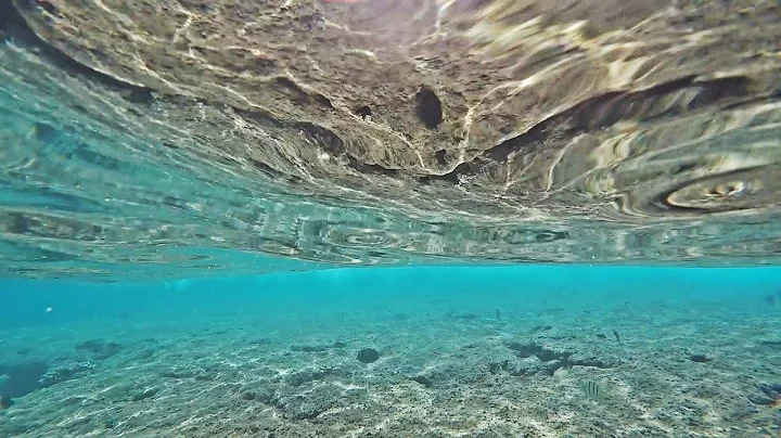 Wish You Were Here with Me Hawaii Surfing Kristine...