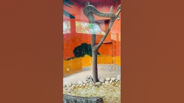 Python #wildlife #snake #shortsfeed #shortsviral