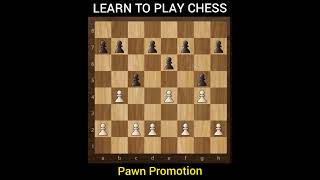 Learn to play Chess in 10 min || The Chess Vault