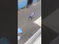 شاهد صوصو محيح فدربهم كترو عليه 
