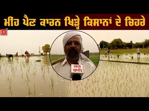 Rain ਕਾਰਨ Farmers ਦੇ ਮੁਰਝਾਏ ਚਿਹਰਿਆਂ ਤੇ ਪਰਤੀ ਰੌਣਕ