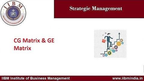 IIBM Institute | CG Matrix & GE Matrix                                                #iibminstitute