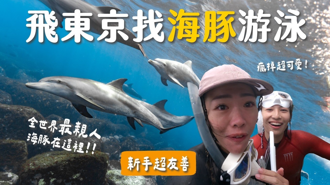 【戶外新手村】 全世界最親人海豚在日本🇯🇵？飛東京找海豚浮潛！？日本 御藏島 自由潛水 Vlog 縮圖