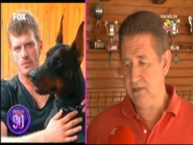 Kivanc Tatlitug Un Doberman Cinsi Kopegi Pars Youtube