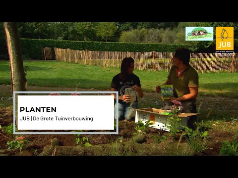 JUB | De Grote Tuinverbouwing planten