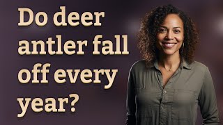 Do deer antler fall off every year? Profile
