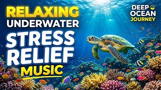 Ocean Drift Glow 🌊 • Soothing Relaxation Music for Sleep 😴 • Gentle Wave Harmony ✨