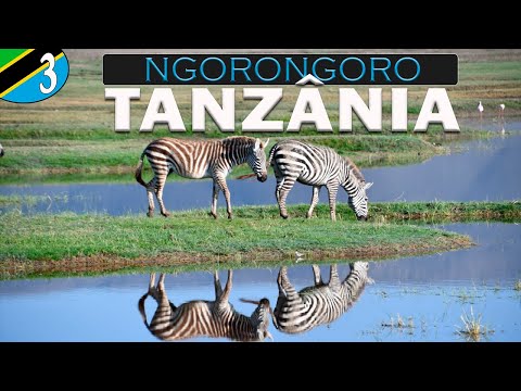 Vídeo: Nuvens Da Cratera De Ngorongoro, Tanzânia [cartão Postal] - Matador Network