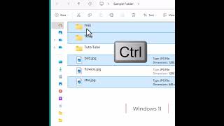 Windows 11 Selecting Multiple Items