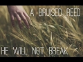 A Bruised Reed He Shall Not Break ( Isaiah 42:3 )