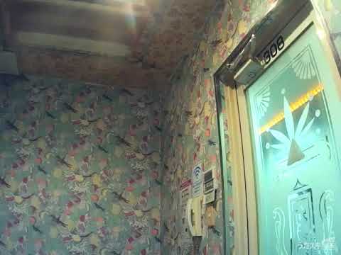 #37 玉置浩二／田園【うたスキ動画】